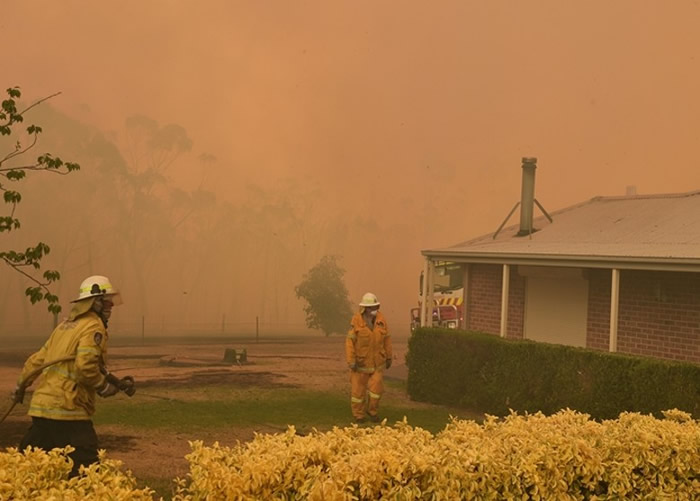 澳洲刷新全国平均气温最高纪录 新南威尔士省进入紧急状态