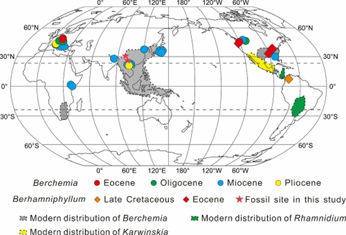 勾儿茶属及其相似类群的化石记录和现代分布