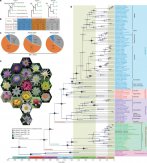Nature发表福建农林大学张亮生课题组的研究论文《睡莲基因组和早期开花植物进化》