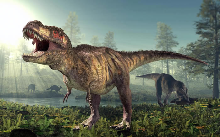 骨分析表明小号化石标本并非不同属的霸王龙：它们只是孩子
