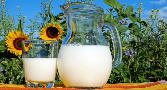 喝全脱脂牛奶减少儿童发生肥胖的危险