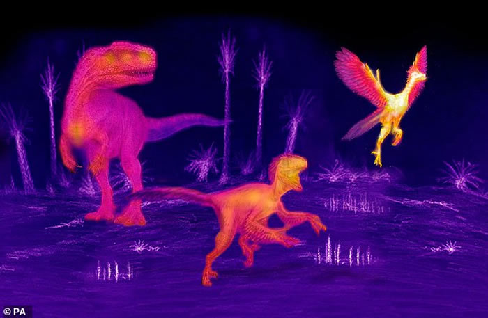 恐龙体型“缩水”为温血哺乳动物出现铺平道路