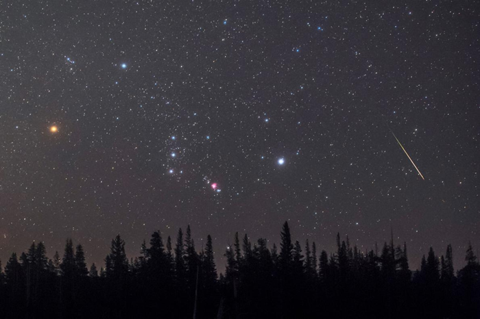 一颗流星划过地平在线空的猎户座。 明亮的红巨星参宿四（左）就位在这个著名的星座之中。 PHOTOGRAPH BY BABAK TAFRESHI, NAT GEO