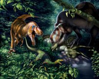 新研究对矮暴龙的存在提出质疑 这些精瘦的掠食性恐龙其实是“青年”霸王龙