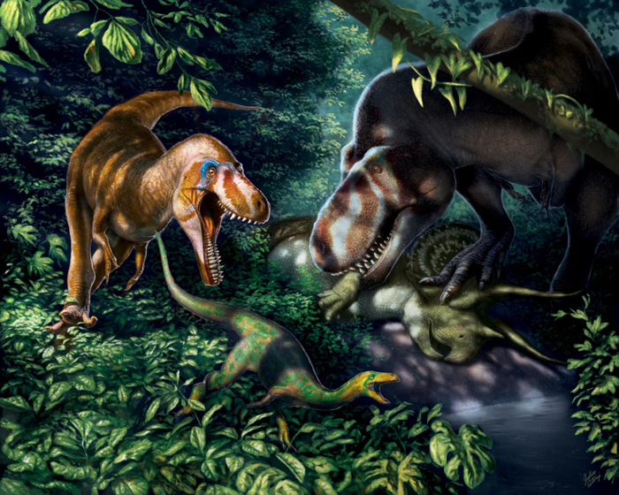 应属霸王龙（Tyrannosaurus rex）亚成体的化石显示这种牙可碎骨的庞然大物在十多岁时是配备着似刃利齿、精瘦而敏捷的掠食者。 ILLUSTRATION