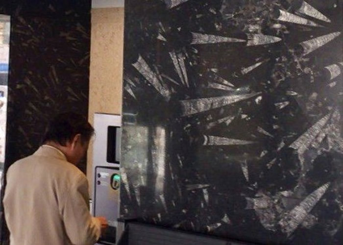 金泽站电梯大堂的黑石墙，满是直角贝的化石。