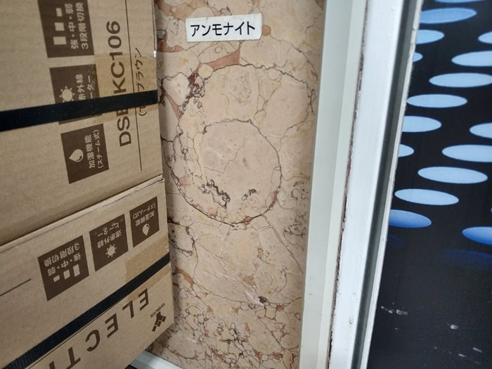 新宿东口一间百货公司大楼内，也有菊石的踪迹。