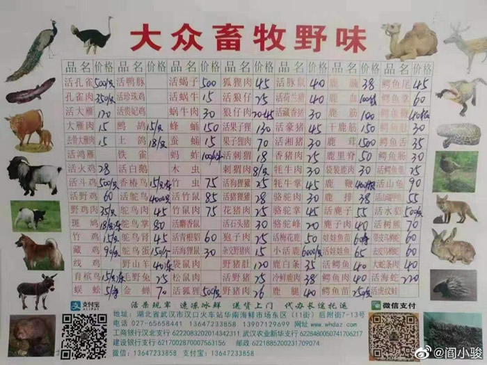 新型冠状病毒2019-nCoV！武汉肺炎传染病疫情源头找到 华南海鲜市场野生动物价目表曝光