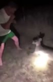 网络流传一段澳洲小袋鼠遭少年殴打的影片 一旁拍摄的少女大笑
