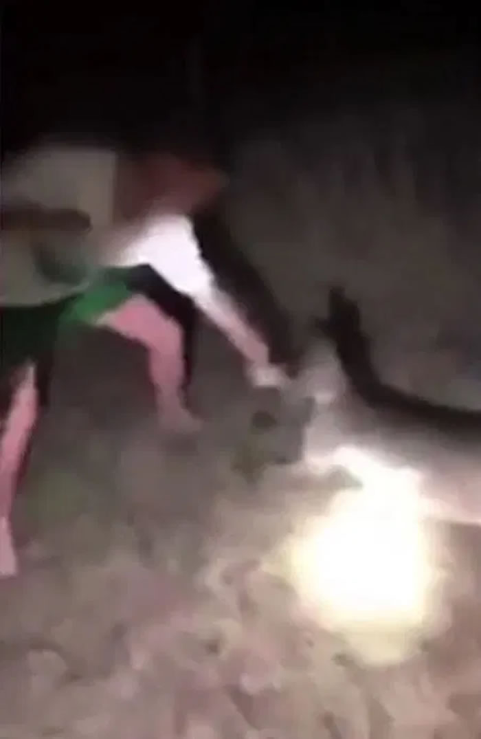 网络流传一段澳洲小袋鼠遭少年殴打的影片 一旁拍摄的少女大笑
