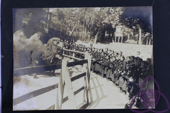 1914 年开园的圆山动物园，在日治时代是新潮的现代化景点，也是新春热门出游地，许多父母会在新年假期带小孩动物园玩。 图为 1920 年代，二高女学生到动物园校