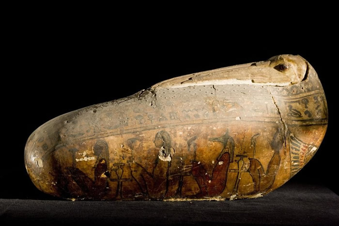 一枚圣鹮木乃伊的特殊外层──由亚麻和泥灰制成的外壳──重现了这种鸟的长喙与头部，并以玻璃珠作为眼睛。 大约在公元前650年至250年之间在埃及有数百万只圣鹮木乃