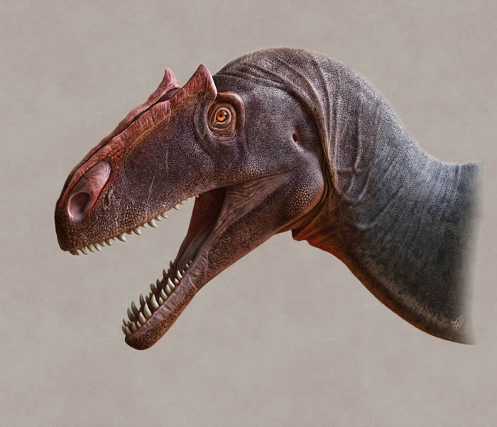 古生物学家在美国犹他州发现新恐龙 命名为异特龙Jimmadseni