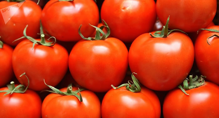 胃炎、胃溃疡和肾结石患者不宜吃西红柿