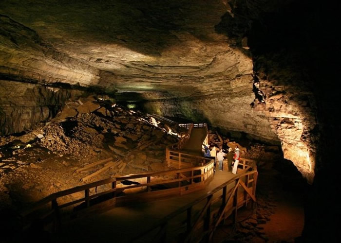 发现鲨鱼骨头化石的猛犸洞国家公园位于肯塔基州。