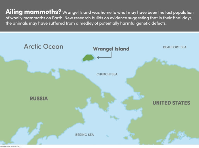 这张地图显示了最后幸存猛犸象的位置--弗兰格尔岛