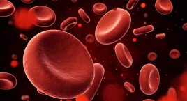 普林斯顿大学医学专家讲述血型如何影响一个人的私生活
