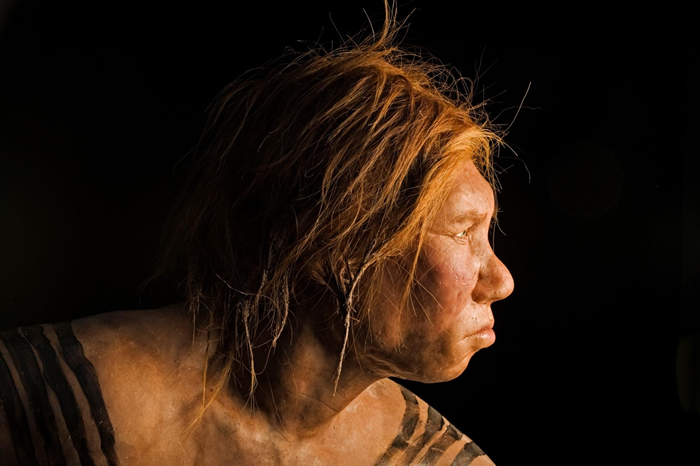 随着科学家从广泛的非洲人口中发现尼安德特人（Neanderthal）祖源，目前所有曾被研究过的人群身上都已找到古老的混种痕迹。 新研究在强调过去之复杂的同时也凸