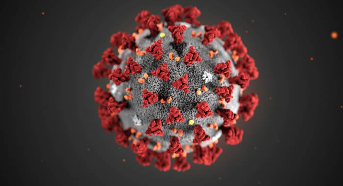 世界卫生组织总干事谭德赛宣布将新型冠状病毒感染的肺炎命名为“COVID-19”