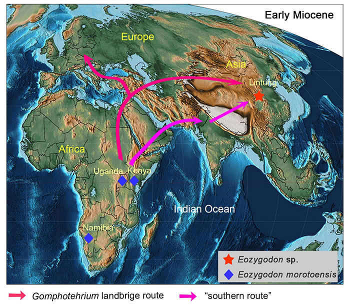 始轭齿象类从非洲向欧亚扩散的两条路线假说（张晓晓 供图）