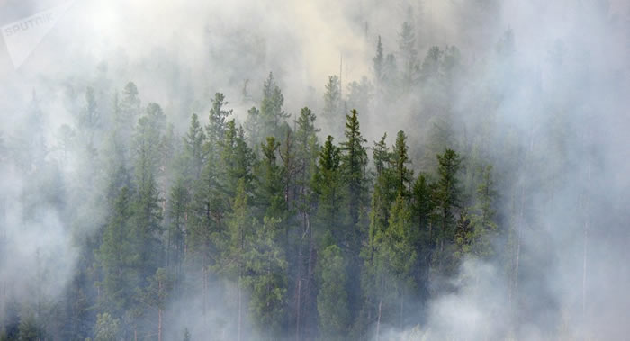 森林火灾的烟雾可以到达大气层 传到世界每个角落并会令全球气候改变