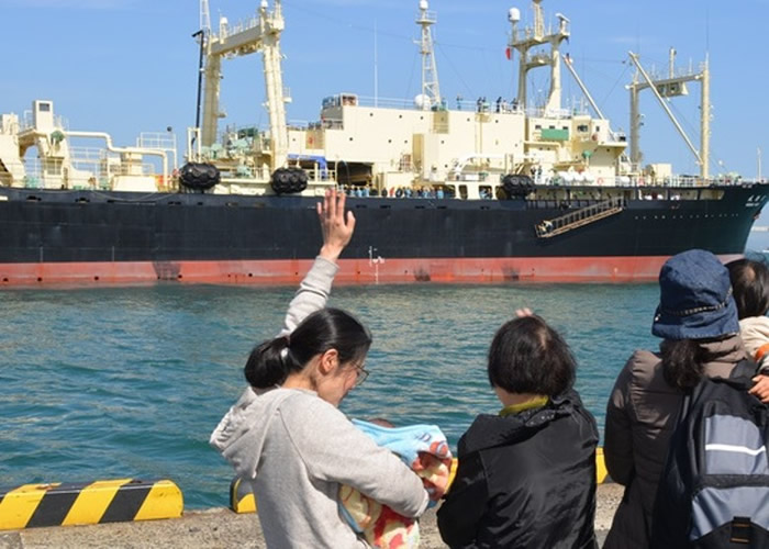 日本重启商业捕鲸活动 “日新丸”船队将捕17头布氏鲸