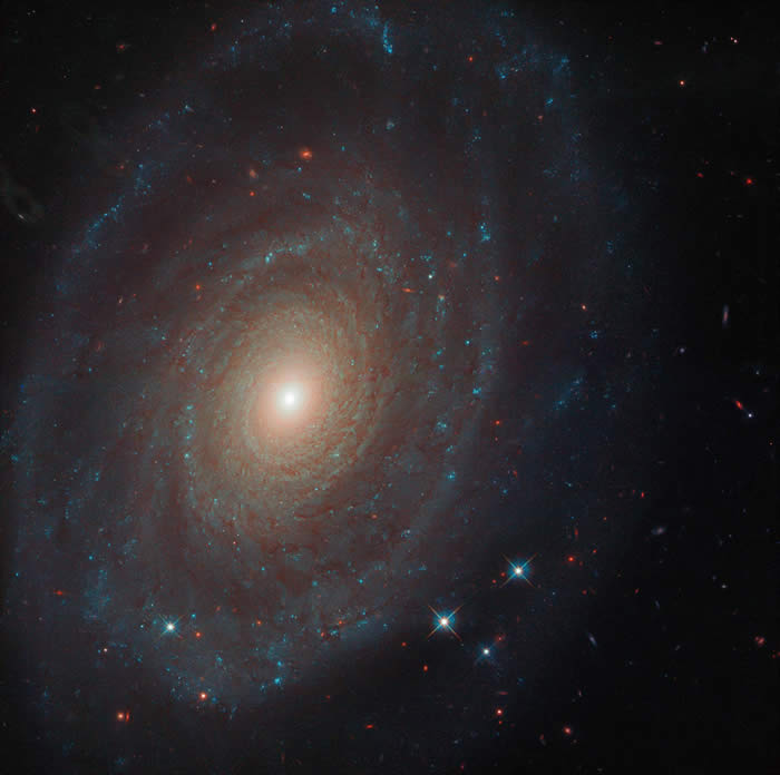 哈勃空间望远镜拍摄的白羊座星系NGC 691