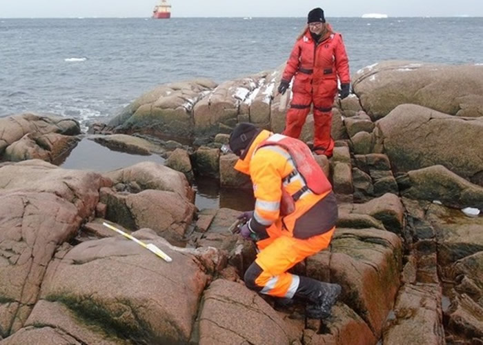 南极考察团队发现新岛屿希芙岛（Sif） 面积与英国温莎堡相若
