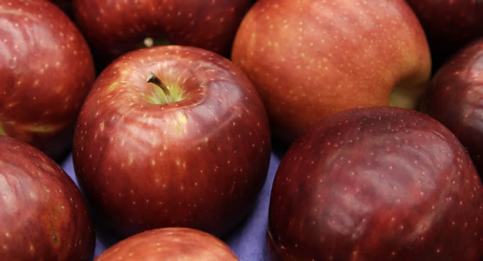 营养医生伊琳娜·丽尊介绍如何正确地吃苹果
