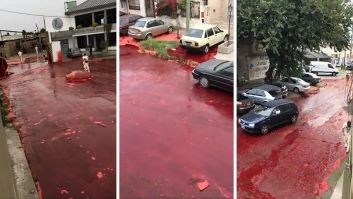 阿根廷布宜诺斯艾利斯屠宰场存放动物血液的储存槽爆炸 街道上形成一片血海