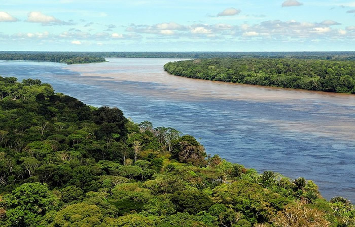 英国班戈大学研究指亚马逊热带雨林或在50年内崩溃 变成热带稀树大草原