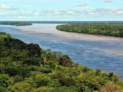 英国班戈大学研究指亚马逊热带雨林或在50年内崩溃 变成热带稀树大草原