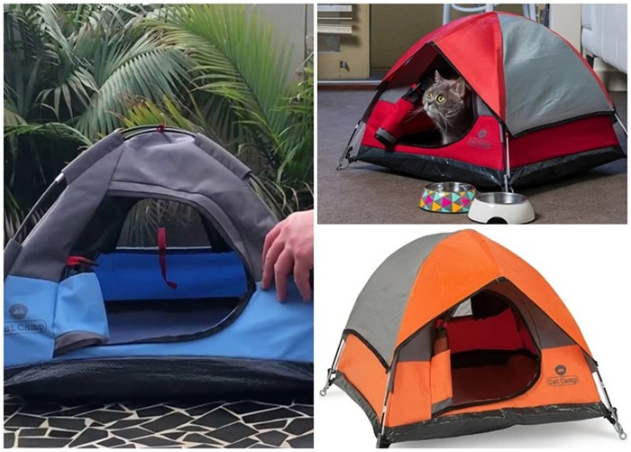澳洲公司推出一款猫咪专用帐篷“Cat Camp”
