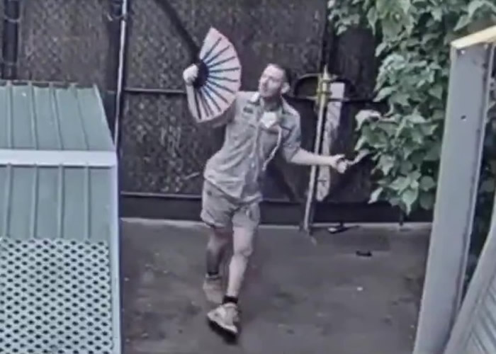 澳洲网民通过网上直播想看墨尔本动物园长颈鹿 看到的却是跳舞的管理员大叔