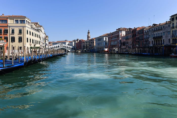 由于原本热闹的威尼斯运河在疾病大流行的隔离检疫期间变得空无一人，爆红的社群媒体贴文宣称天鹅及海豚回到了这片水域。 这不是真的。 尽管如此，运河水质仍然变得比较干
