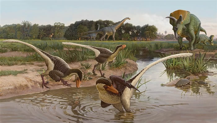 Dineobellator notohesperus与新墨西哥白垩纪晚期Ojo Alamo组的其他恐龙的艺术复原图（图片来源：Sergey Krasovskiy