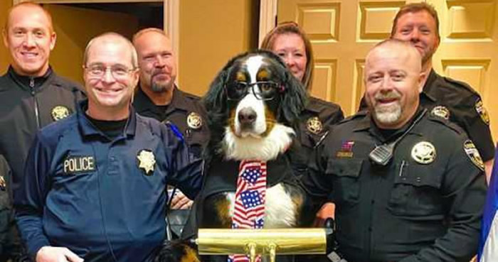 美国科罗拉多州乔治敦市伯恩山犬Parker成为荣誉市长 刚上任就涉嫌“滥用职权”