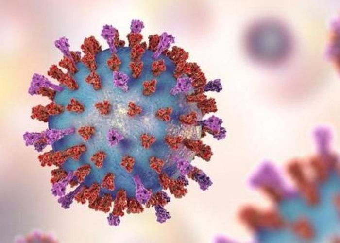 研究指有新冠肺炎患者的病毒排毒期长达49日 不排除是病毒变种的新亚型