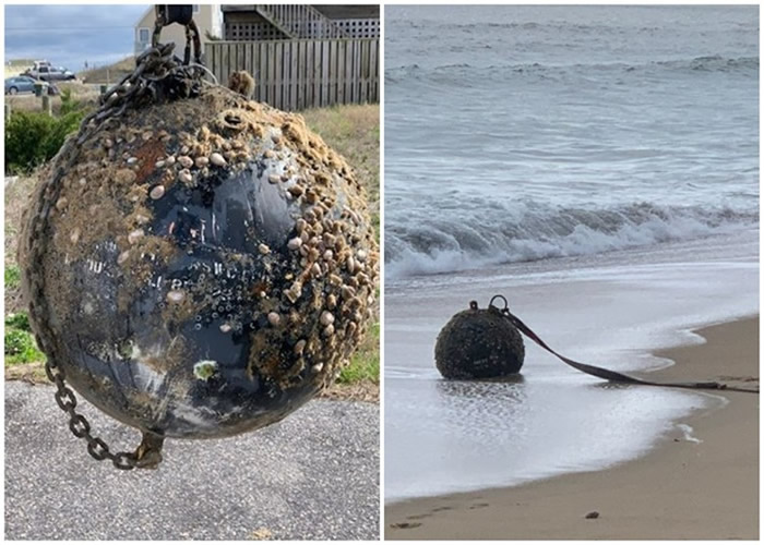 混凝土球冲上美国北卡罗莱纳州小镇沙滩 市民误以为炸弹报警