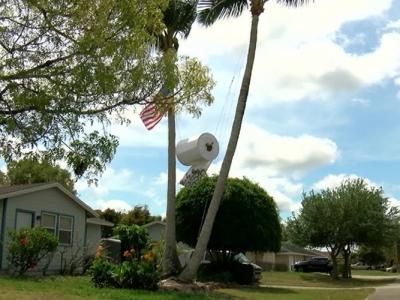美国佛罗里达州工匠Donald Ryan在家门前两棵大树上悬挂起巨型木制厕纸卷