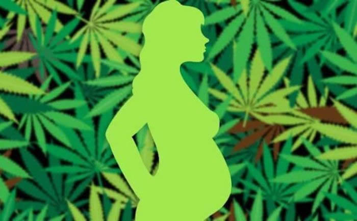 最新研究表明食用大麻或THC类产品的女性可能很难怀孕