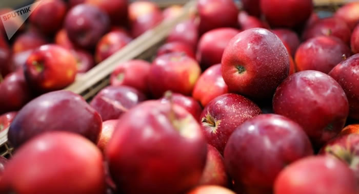 苹果果皮中提取的三萜酸可用来对抗多发性硬化症