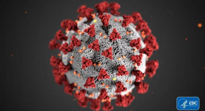美国设计师阿丽萨•埃克特和丹•希金斯创建了COVID-19新冠肺炎病毒形象