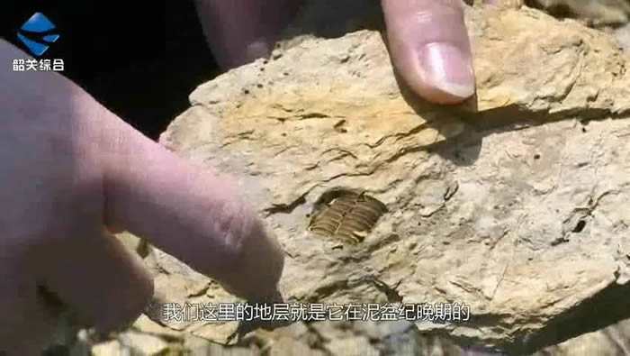广东省韶关市武江区天子岭3.65亿年前“化石群”又有重大发现