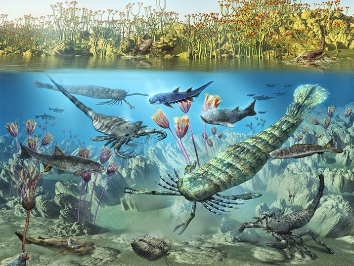 奥陶纪和志留纪之交地球大气和海洋处于无氧状态 导致大量海洋无脊椎动物死亡