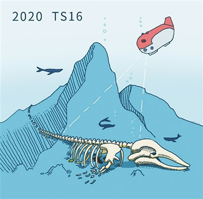 中国南海1600米深处发现鲸落 一头鲸鱼的死亡造就一个深海生态系统