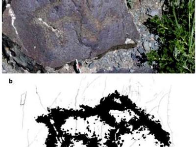 俄蒙边境发现1.5万年前古人类留下的犀牛和猛犸象岩画 风格类似于西欧旧石器时代