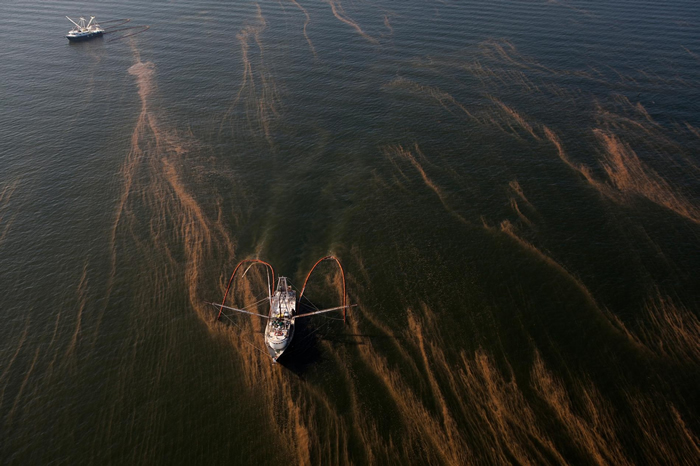 船只利用围油栏（absorbent booms）来拦捕深水地平线漏出来的油。 PHOTOGRAPH BY TYRONE TURNER， NAT GEO IMAG