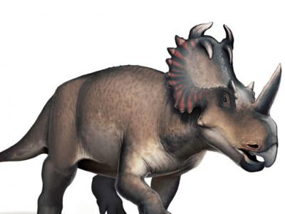 美国古生物学家为新恐龙命名Stellasaurus 纪念英国音乐家大卫·鲍伊的一首歌