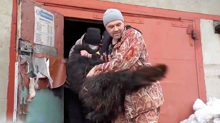 忠犬八公：俄罗斯㹴犬趴冰雪中痴等2个月 凝望大海盼主人早日回来